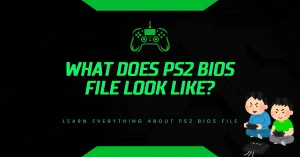 What Does PS2 BIOS File Look Like? What Does PS2 BIOS File Look Like?